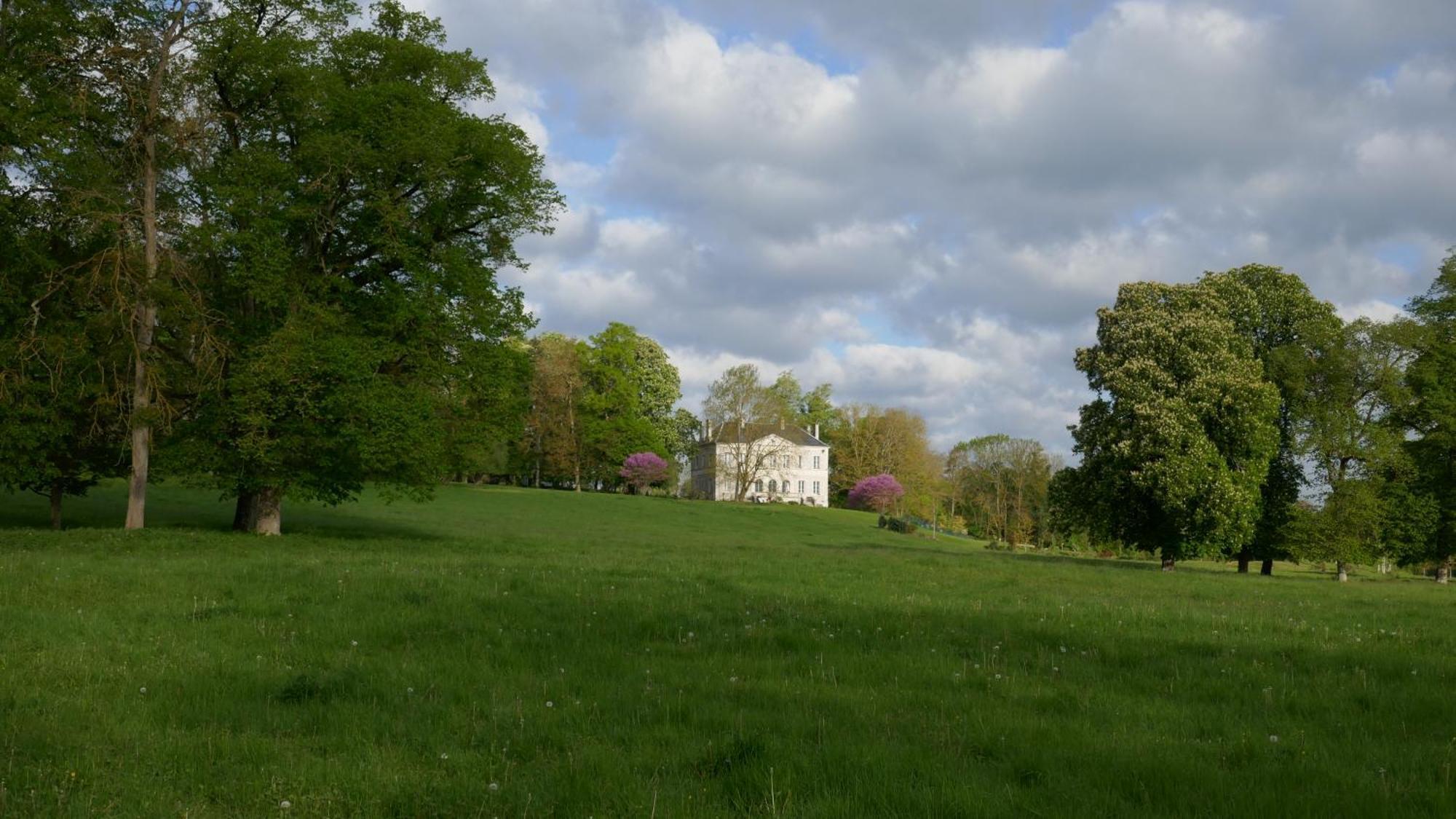B&B Chateau De Preuil Vallenay 外观 照片