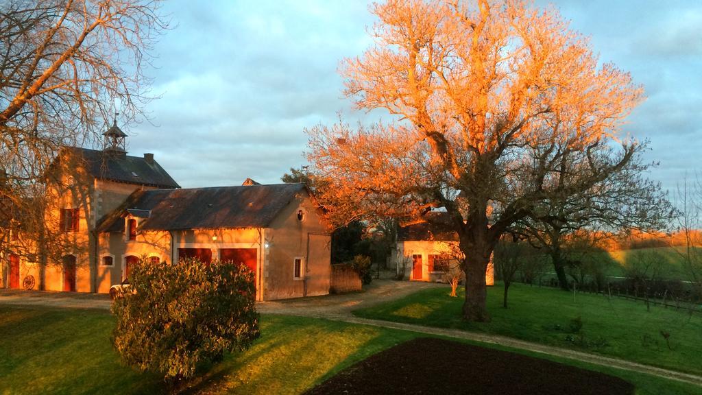 B&B Chateau De Preuil Vallenay 外观 照片